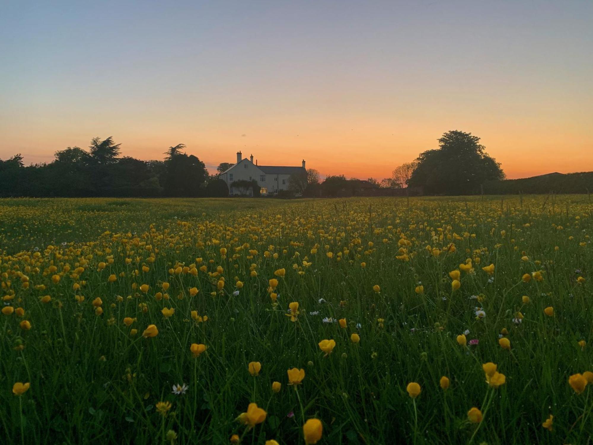 The Chestnuts Country House Boutique B&B Kilvington Экстерьер фото